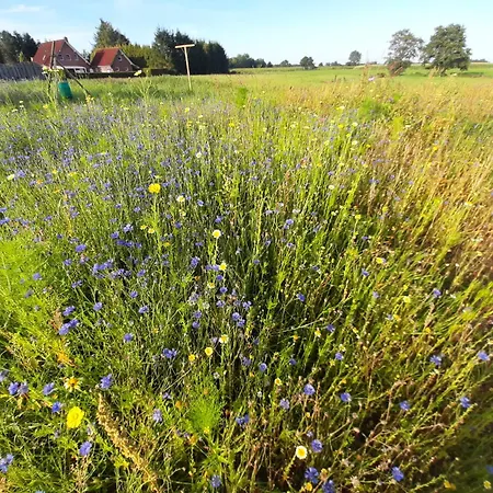 Gross Moorburg *